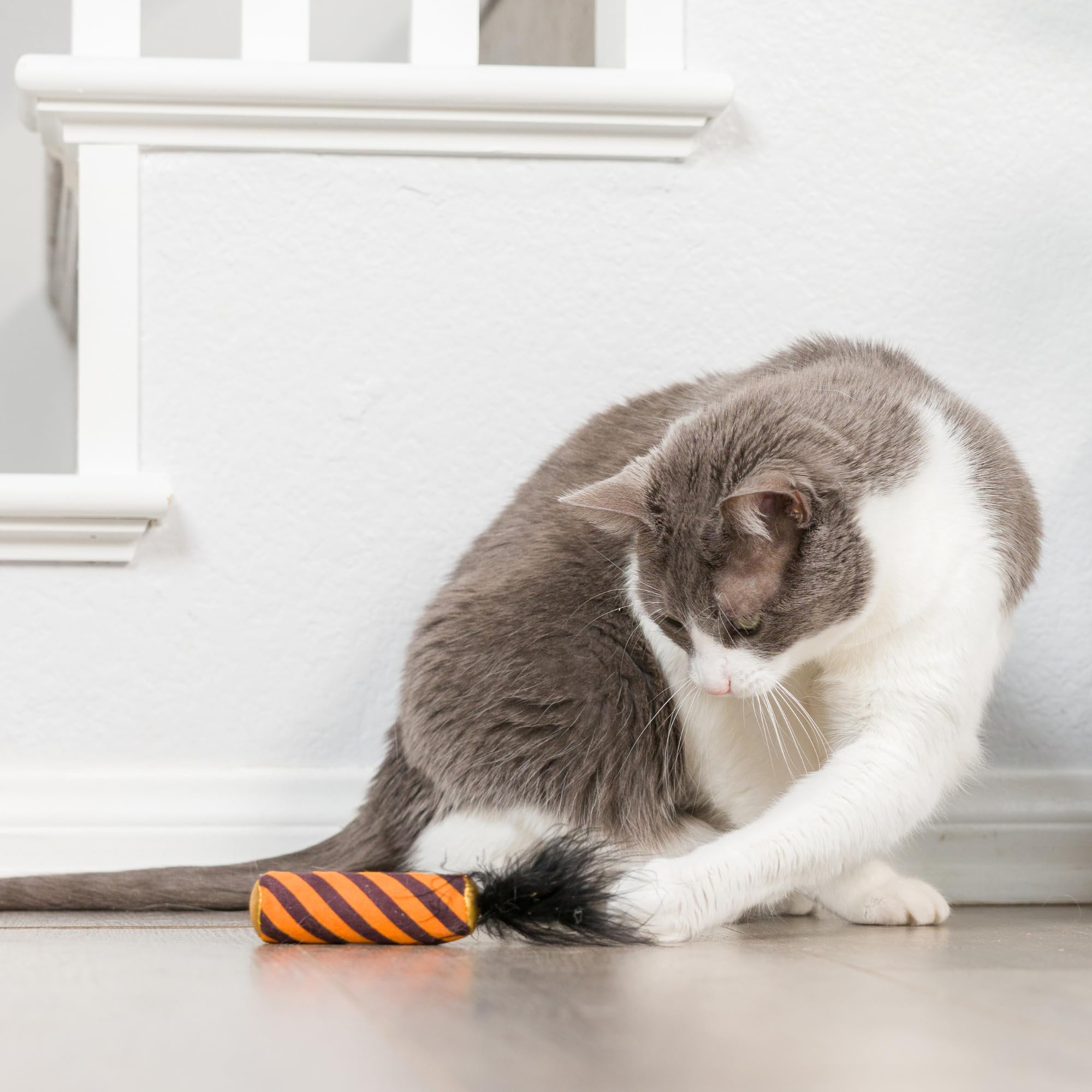 Huxley & Kent 2-Pack Plush Cat Toys | Spiderweb Donut & Black Flame | Halloween Strong Catnip Filled Cat Toy | Plush Kitten And